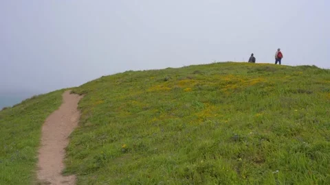 People With Jackets Going Up a Hill in Point Reyes Stock Footage 239601208