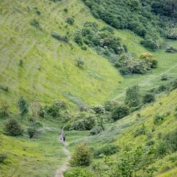 People jogging in The Devil's Kneading Trough which is part of kent downs o.. Stock Photos
