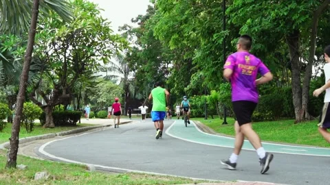 People jogging in the park in the evening. Stock Footage 198330331