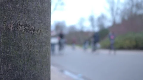 People Jogging Running And Riding Bicycle In A Park in Amsterdam. Stock Footage 85264386