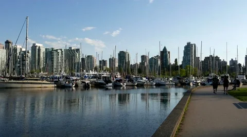 People jogging in the Stanley park 動画素材 62651695