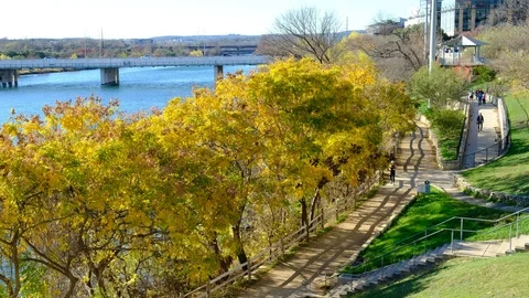 People jogging on trail path Video stock 122154757