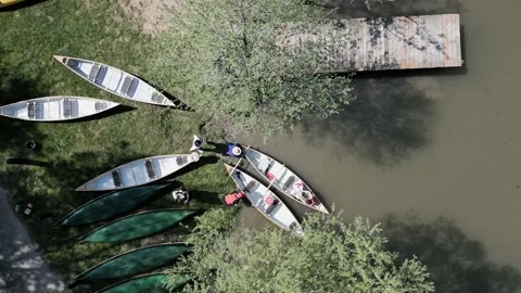 People kanoeing on river Stock Footage 239405202