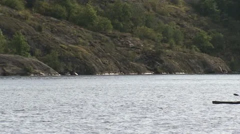 People kayaking Stock Footage 11340965