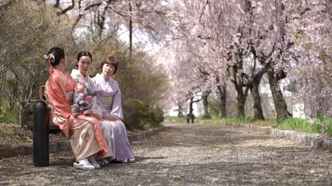 People in Kimono with Baby Under Cherry Blossoms Stockbeeldmateriaal 344854341