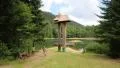 People at lake Synevyr in Carpathian Mountains, Ukraine HD Footage