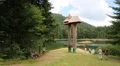 People at lake Synevyr in Carpathian Mountains, Ukraine HD Footage