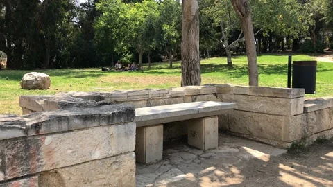 People lay down at the Park Long Shot Stock Footage 89943288