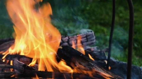 People lit a fire on a summer evening. 4k Stock Footage 200790067
