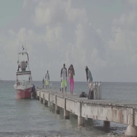People Loading Boat on Dock Stock Footage 69654434