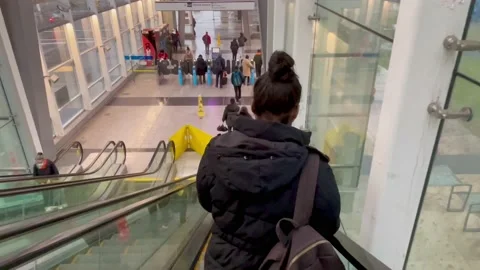 People in the long escalator going down Stock-Footage 222299786