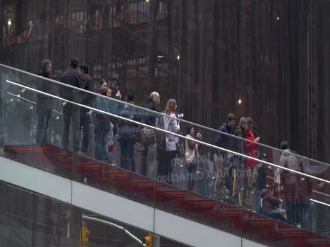 People Looking around Stock Footage 75048963