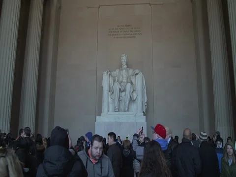 People Looking Around Stock Footage 75049995