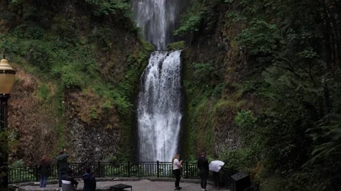 People looking at a spectacular waterfall in the Columbia River Gorge. Corbett Stock Footage 244556341