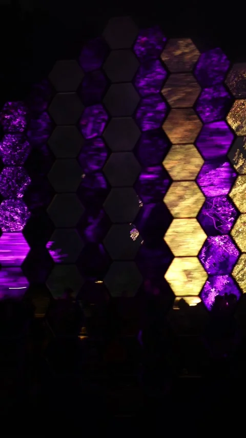 People looking at unknown object vertical video Stock Footage 288042641