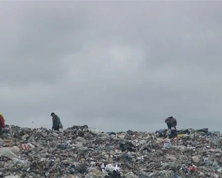 People looking for useful items. Environmental pollution. Stock Footage 10727861