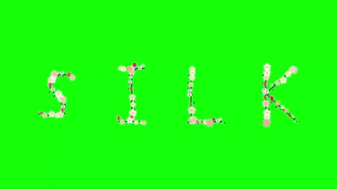 People Looping with Flowers - Chroma Key Green Screen Footage Stock Footage 337996708