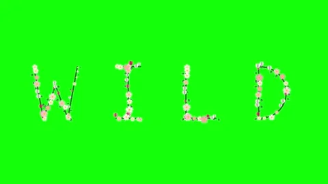 People Looping Isolated Green Screen Stock Video Video stock 337996876