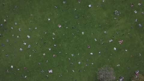 People Lounging in the Grass Stock Footage 74815480