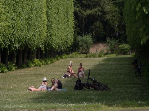 People lying on the grass on sunny hot day in park Stock Footage 77190411