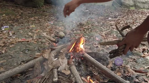 People make bonfires Stock Footage 239714595