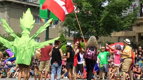 People marching with weed flag Stock Footage 53008088