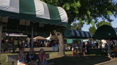 People on the midway at a rural county fair Stock Footage 59146760