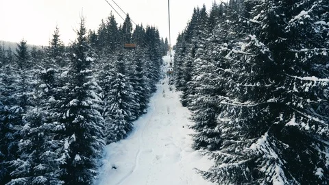 People moving up the snow forest on ski elevator Stock Footage 120051048