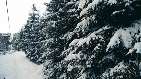 People moving up the snow forest on ski elevator Stock Footage 120051810