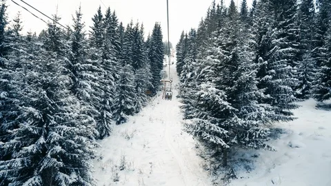 People moving up the snow forest on ski elevator Stock Footage 120051905