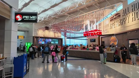 People moving through Evans Terminal at Detroit Metropolitan Wayne County Stock Footage 335317817