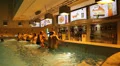 People near bar inside water park HD Footage