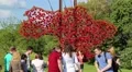 People near map of Ukraine decorated red flowers HD Footage