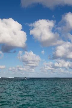 People  in the ocean Foto stock