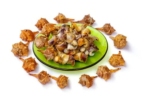 People often enjoy shellfish served on a plate with empty shells placed aroun Stock Photos