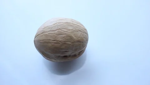 People open a nut close up, on a light background Vídeo Stock 91911252