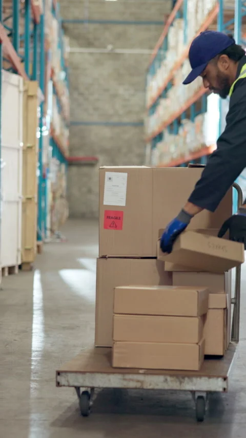 People, packing and boxes at warehouse for logistics, inventory and supply chain Stock Footage 340539783
