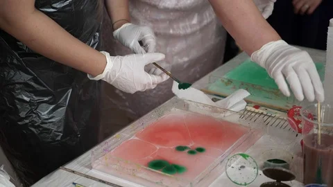 People painting turkish traditional pictures Stock Footage
