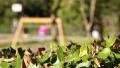 People at park - child on swing HD Footage