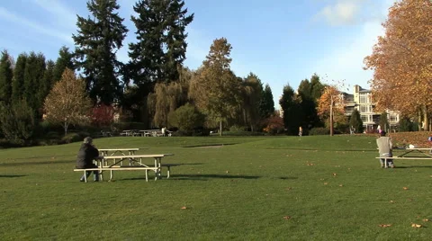 People in park Stock Footage 925976