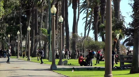 PEOPLE IN A PARK Video stock 948133
