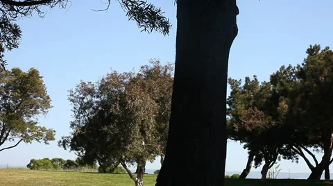 People at the park Stock Footage 5090034