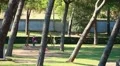 People at park HD Footage
