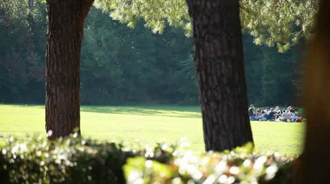 People at park Stock Footage 8923917