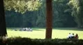 People at park HD Footage