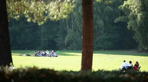 People at park Stock Footage 8923930