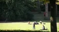 People at park HD Footage