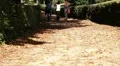 People at park HD Footage