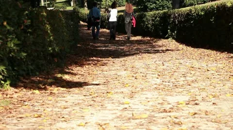 People at park Stock Footage 8924008