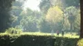 People at park HD Footage